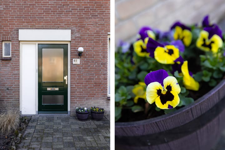 Foto 4 van den Drink 41