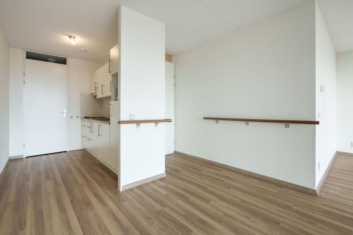 Photo 11 of Plein 15 Augustus 60