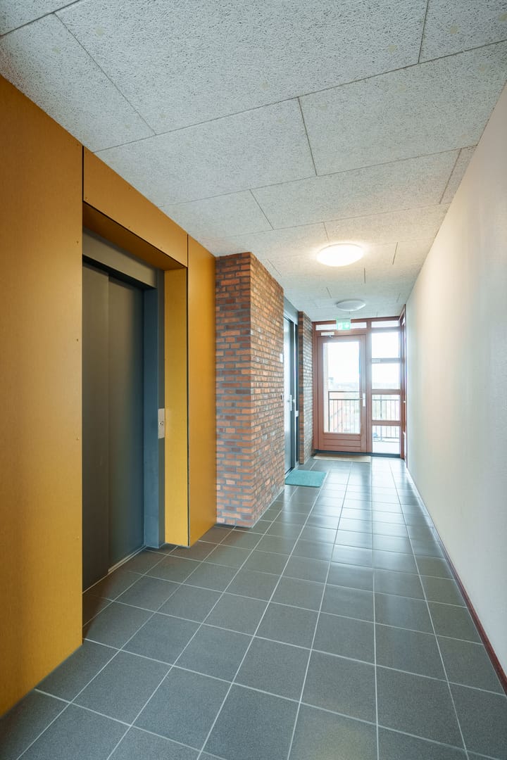 Photo 24 of Plein 15 Augustus 60