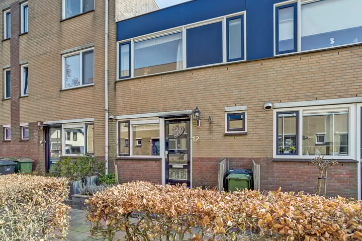 Foto 2 van Meerkoet 12