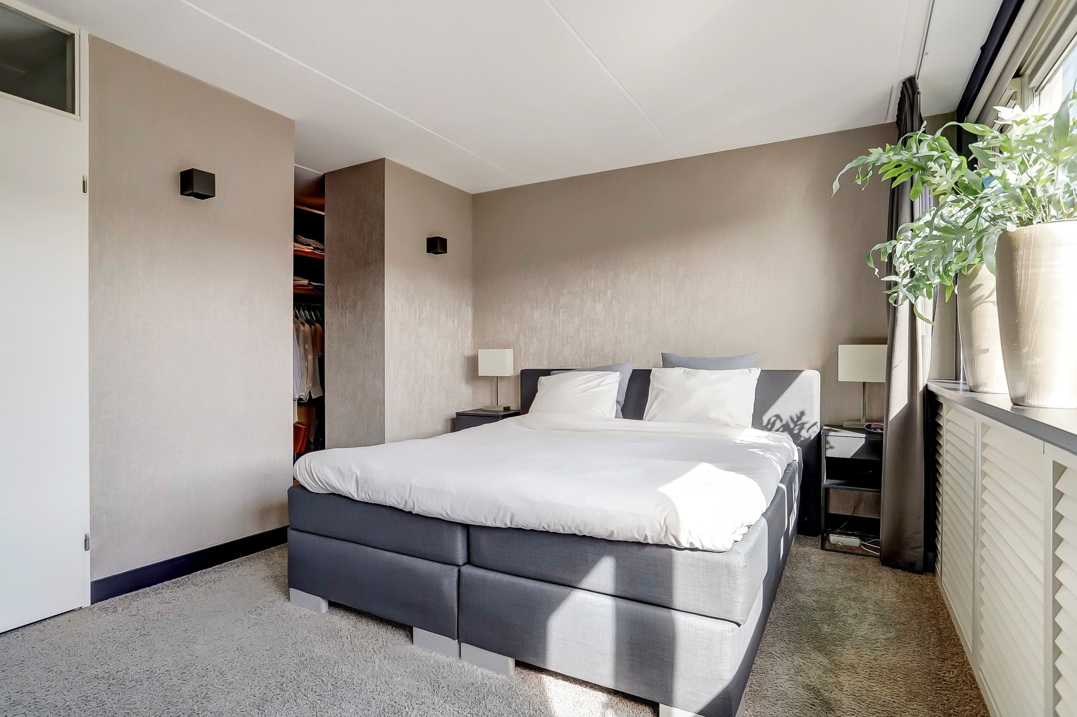 Foto 6 van Meerkoet 12