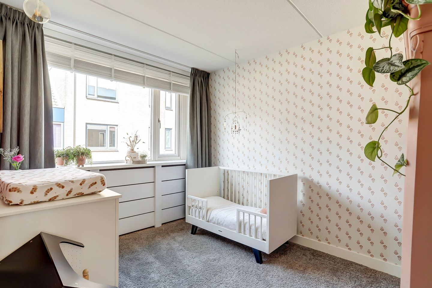 Foto 25 van Meerkoet 12