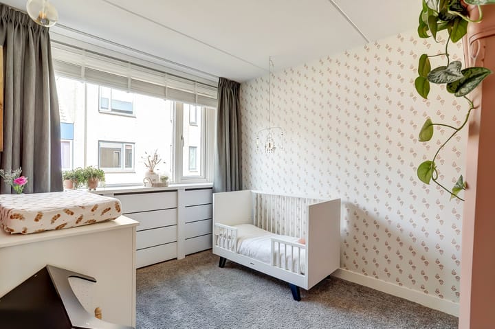 Foto 25 van Meerkoet 12