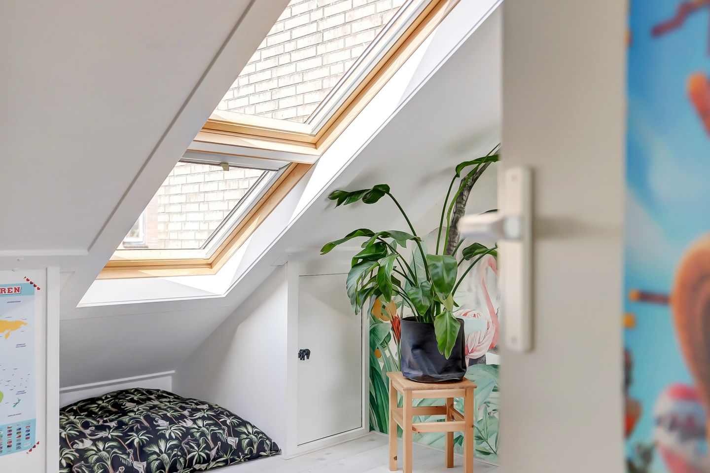 Foto 34 van Meerkoet 12