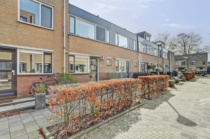 Foto 47 van Meerkoet 12