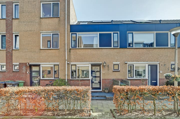 Foto 48 van Meerkoet 12