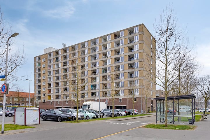 Foto 2 van Rietzangerstraat 163