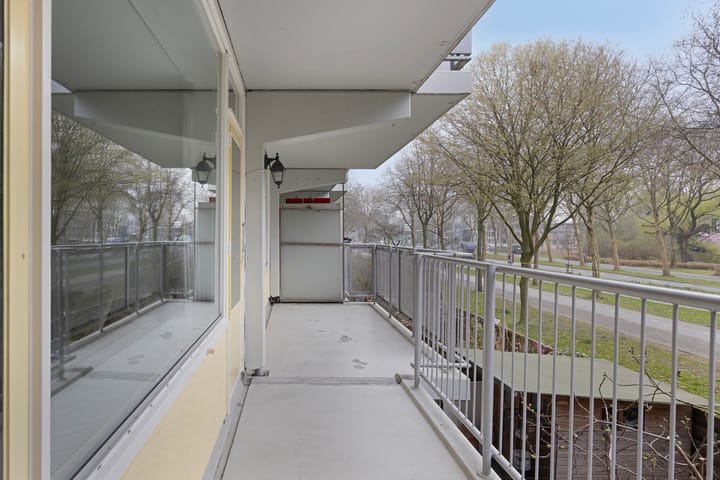 Photo 25 of Marsdiep 247