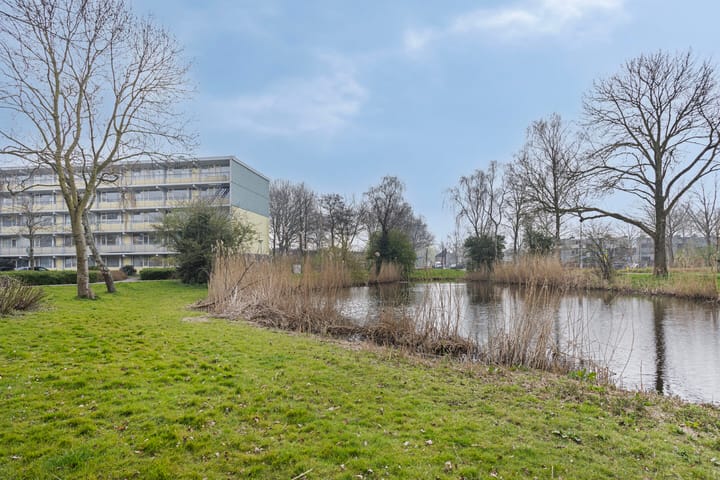 Photo 28 of Marsdiep 247