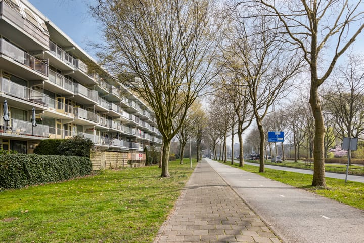 Photo 31 of Marsdiep 247