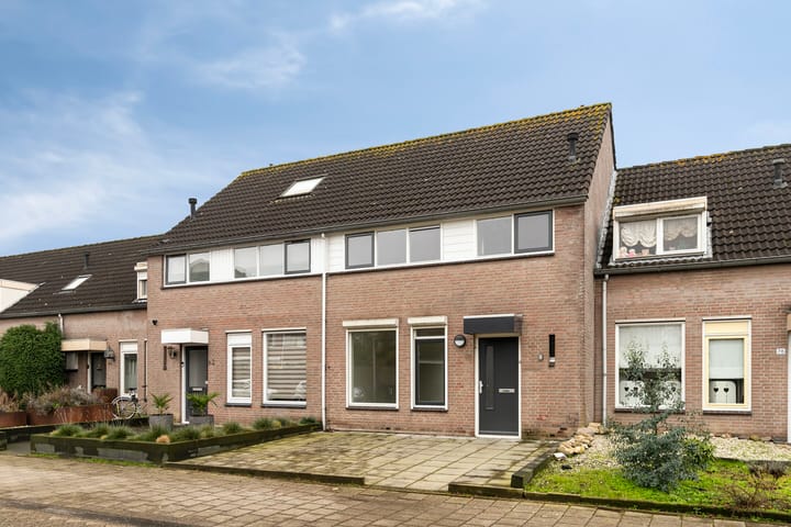 undefined main image