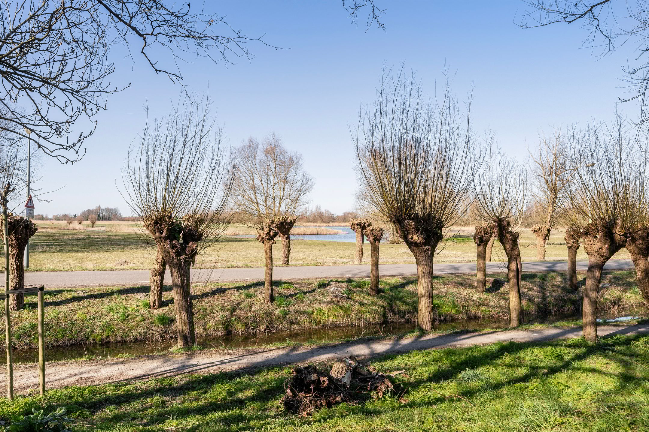 Foto 6 van Hazelaardreef 101