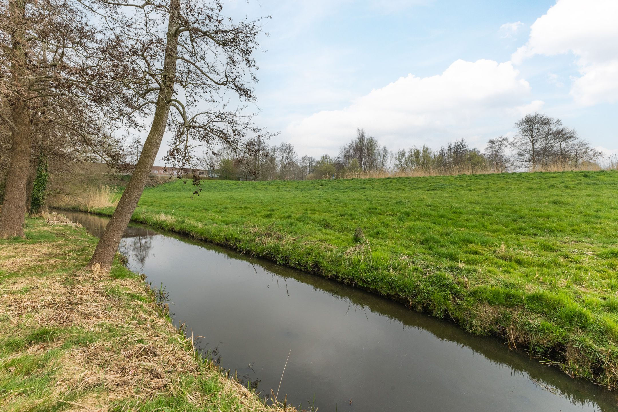 Foto 48 van Meeuwenlaan 24