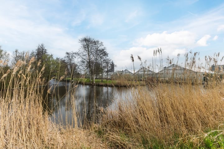 Foto 49 van Meeuwenlaan 24