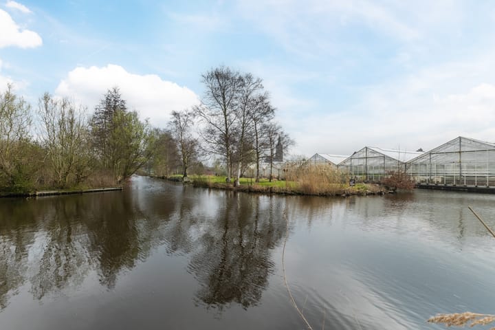 Foto 50 van Meeuwenlaan 24