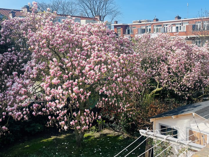 Foto 16 van Nieuwediepstraat 19