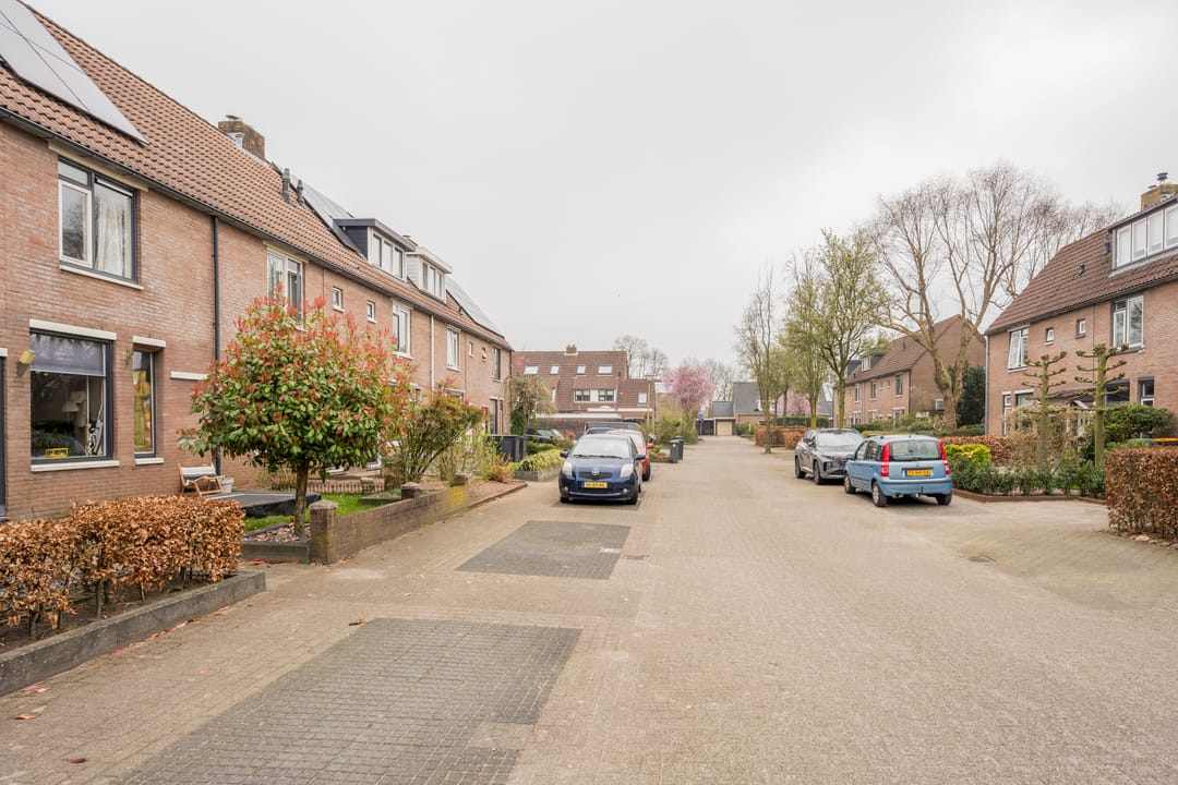 Foto 38 van Jan Steenhof 9