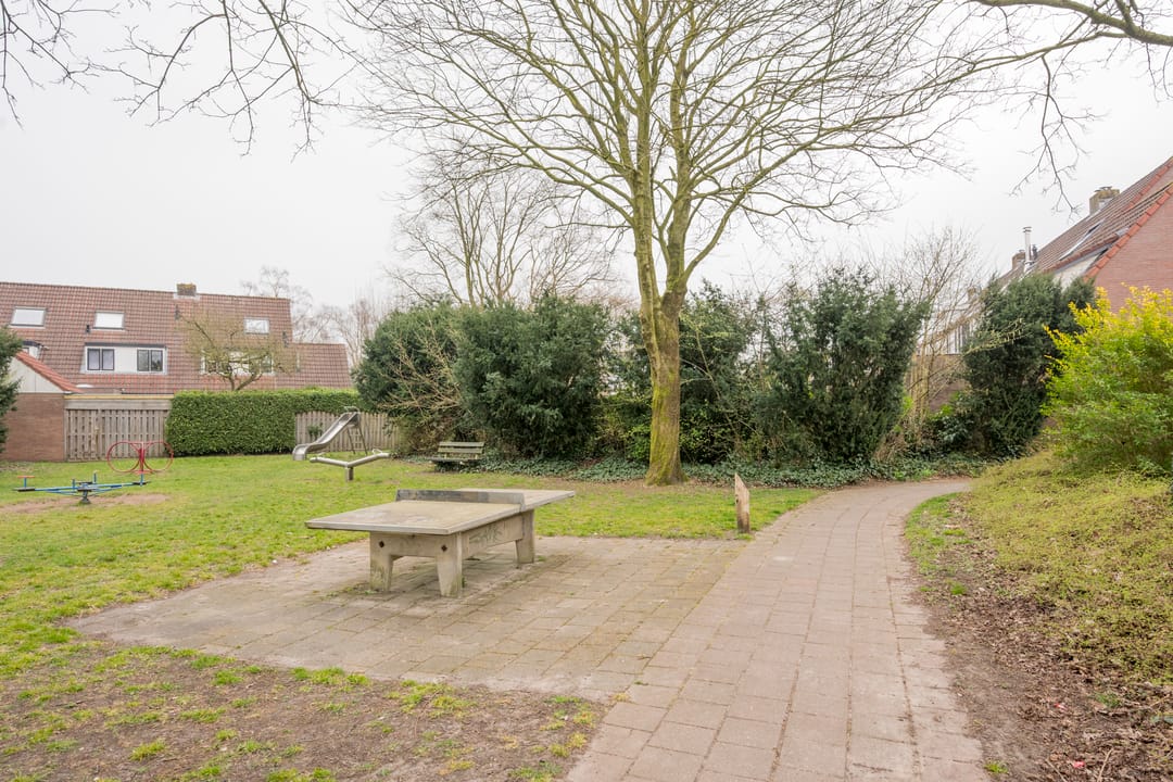 Foto 41 van Jan Steenhof 9