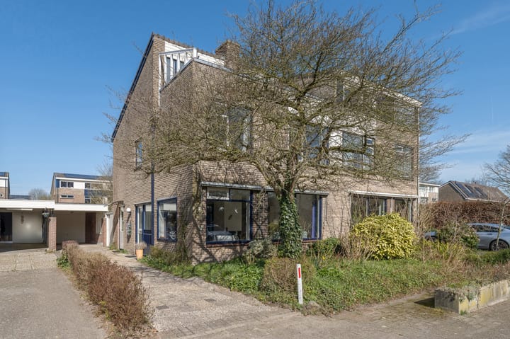 undefined main image