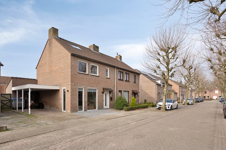 Foto 7 van Plataan 18