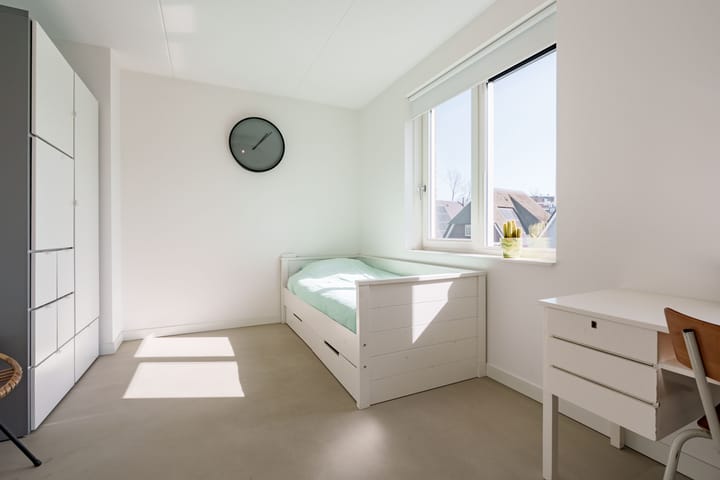 Foto 21 van Prof. Kraaijenhagenstraat 9