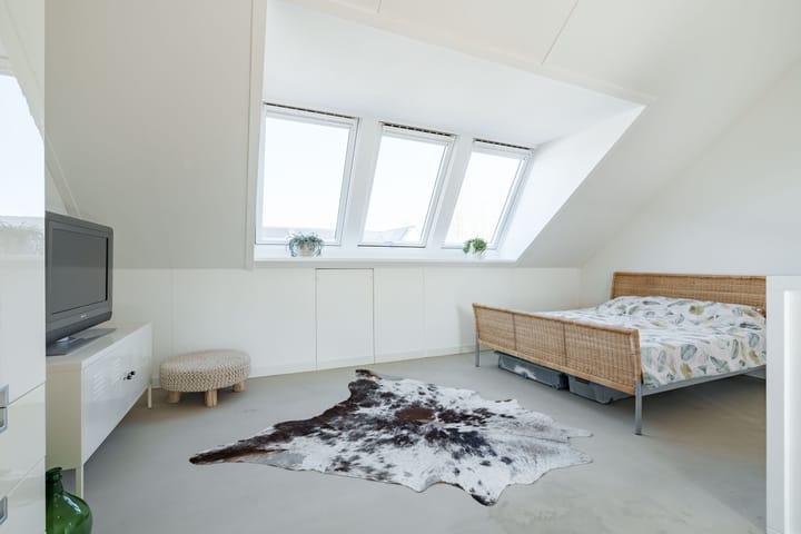 Foto 29 van Prof. Kraaijenhagenstraat 9