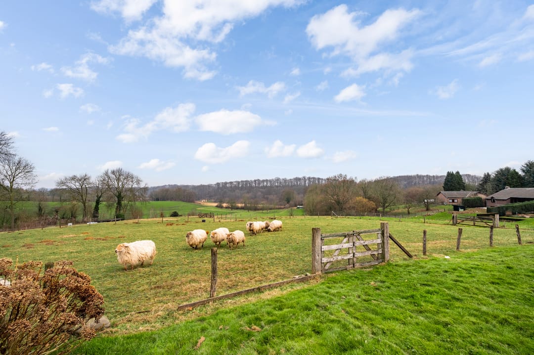 Foto 41 van Kapelweg 6