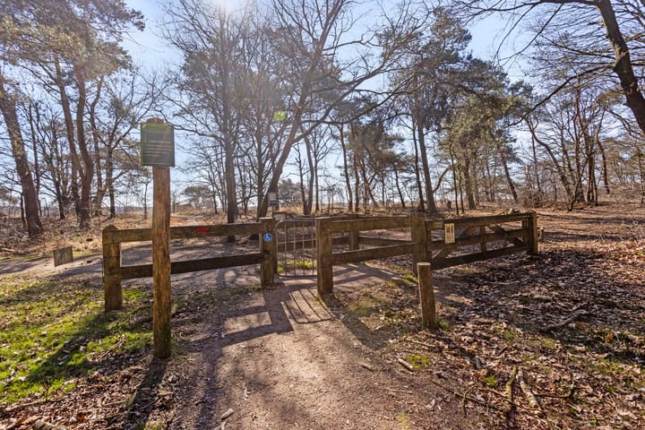 Foto 81 van Westelbeersedijk 49