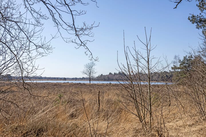 Foto 83 van Westelbeersedijk 49