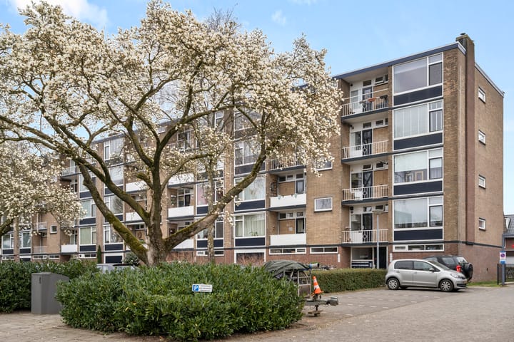 Foto 1 van Evertsenstraat 79