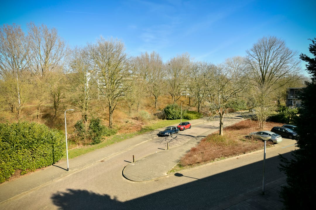 Foto 17 van Kruizemunthof 1