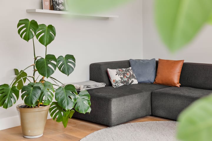 Photo 6 of Biezenloop 122