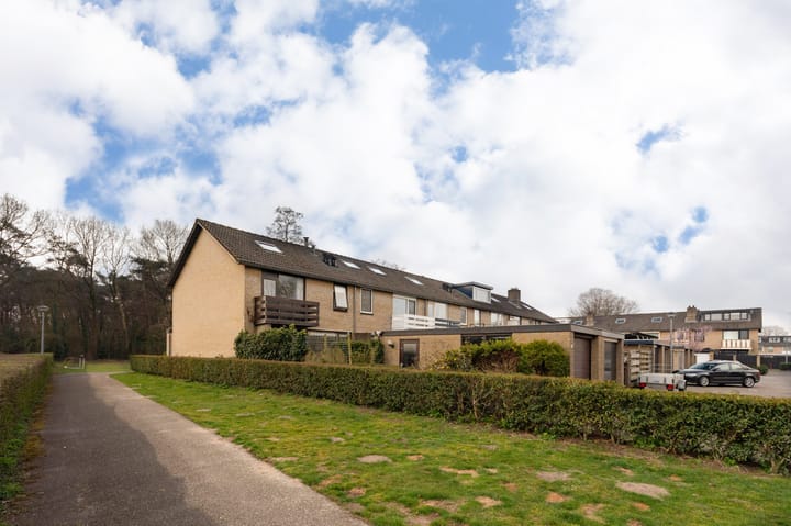 Foto 9 van De Steenkamp 31