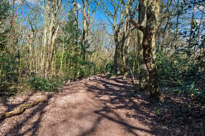 Photo 35 of Laan van Meerdervoort 1465