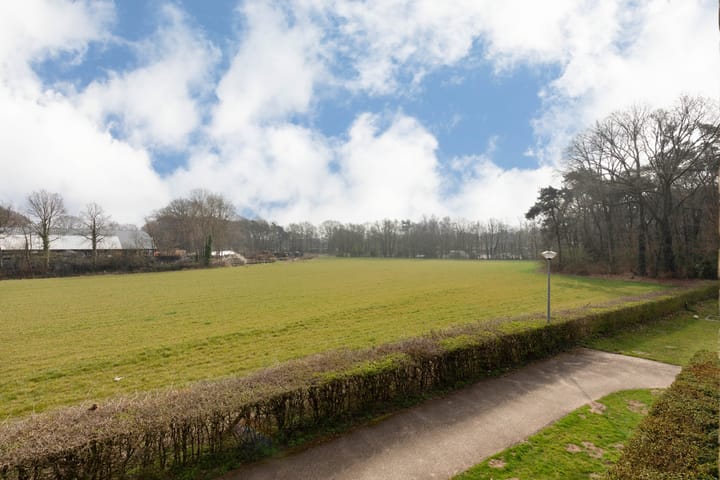 Foto 38 van De Steenkamp 31