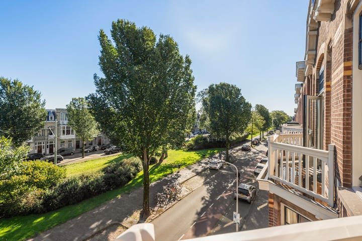 Foto 50 van Van Boetzelaerlaan 80