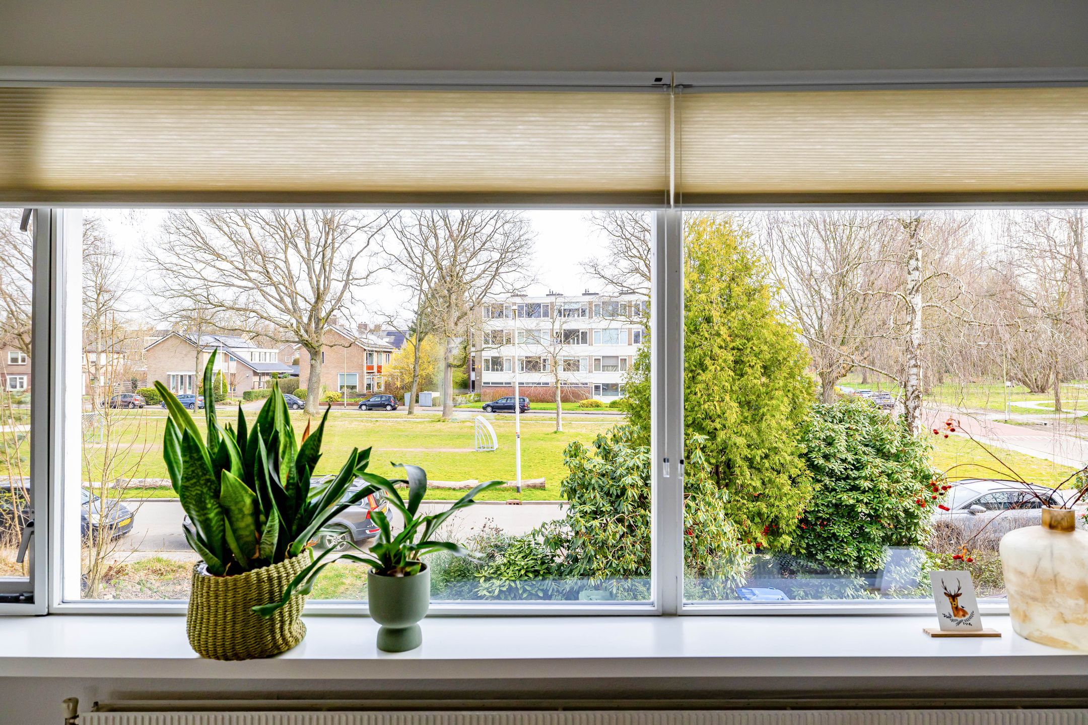 Foto 21 van Multatulilaan 40