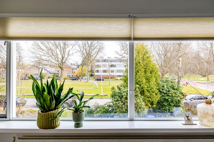 Foto 21 van Multatulilaan 40