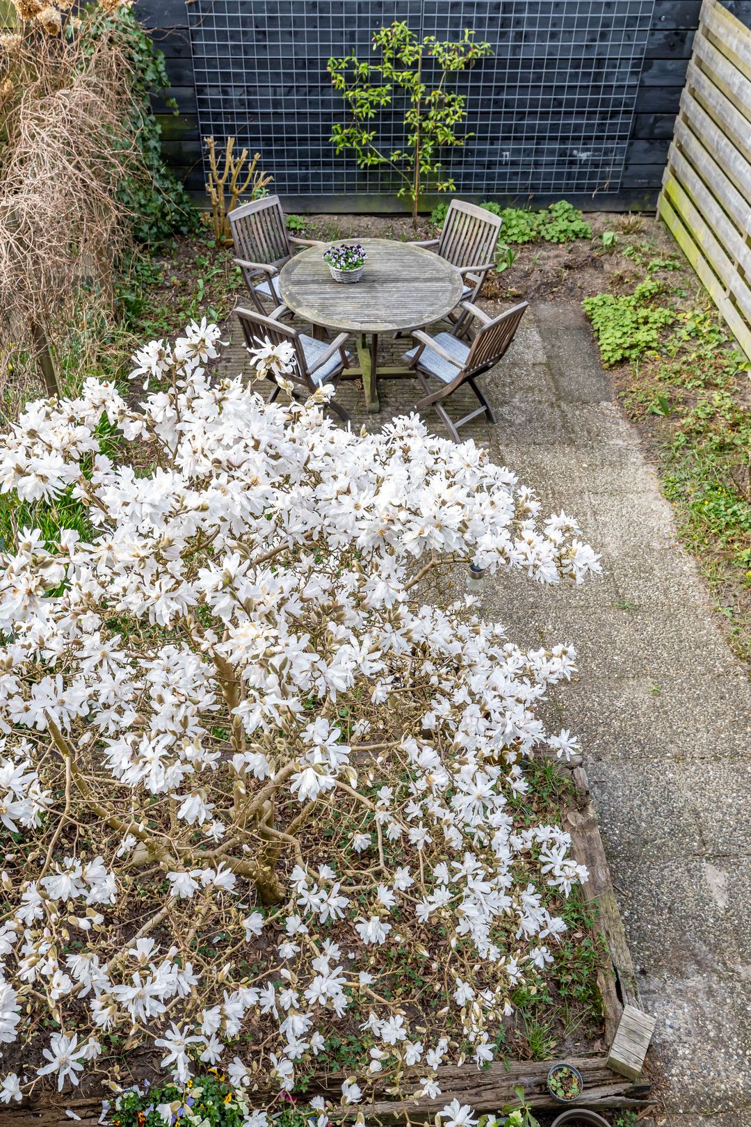 Foto 31 van Multatulilaan 40