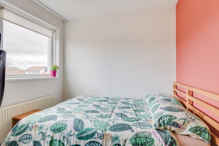 Foto 40 van Van Alphenstraat 2