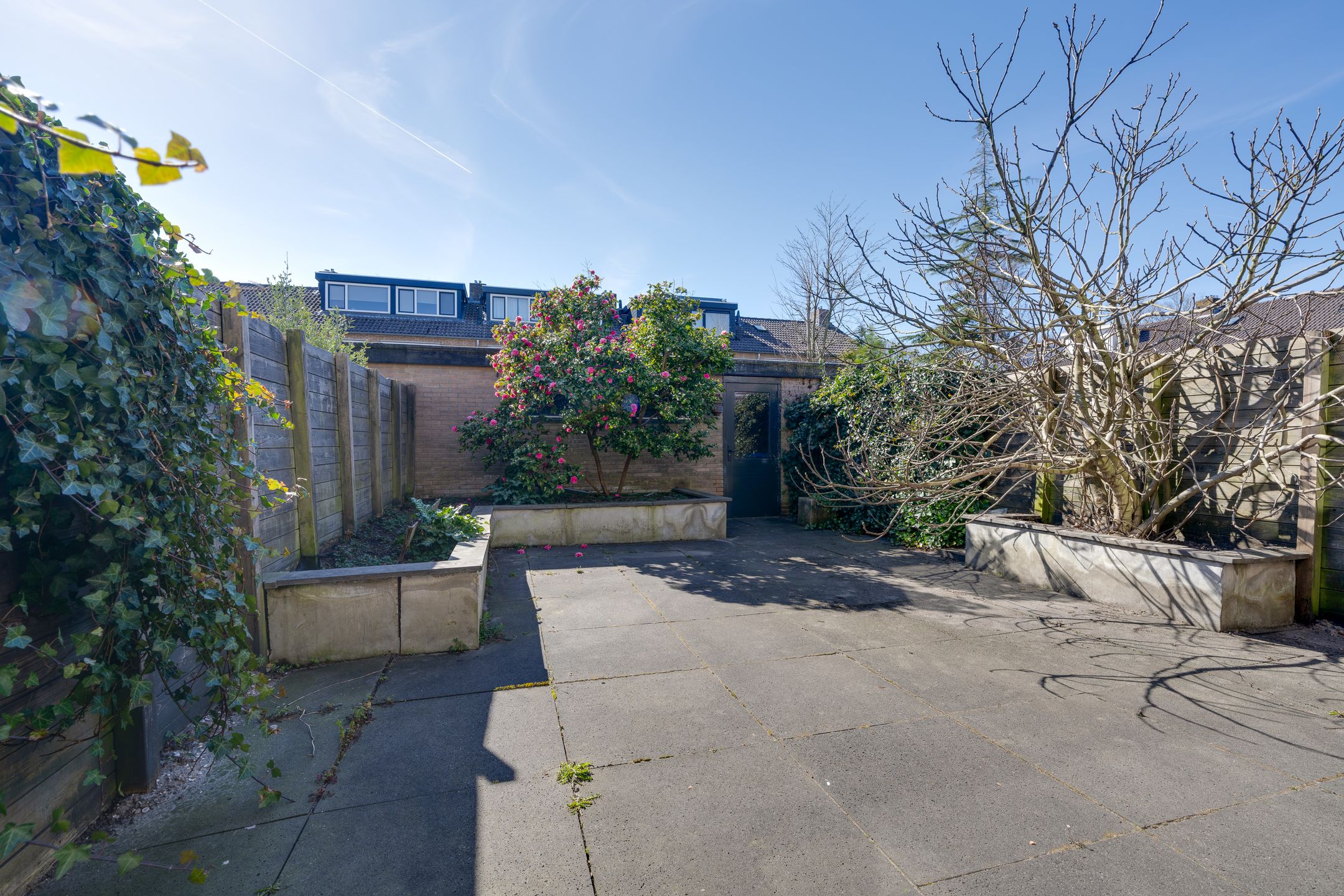 Foto 27 van Lyrastraat 6