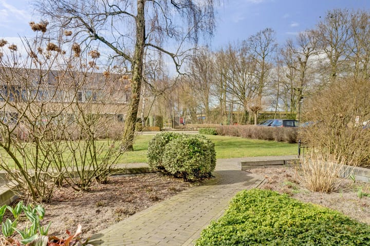 Foto 3 van Dickerijst 6