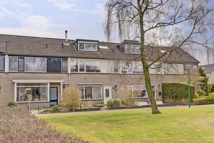 Foto 5 van Dickerijst 6