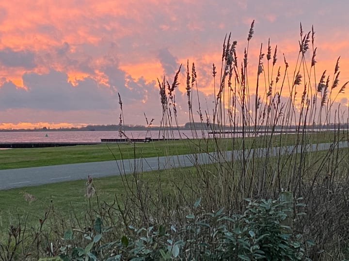 Foto 41 van Cederlaan 4