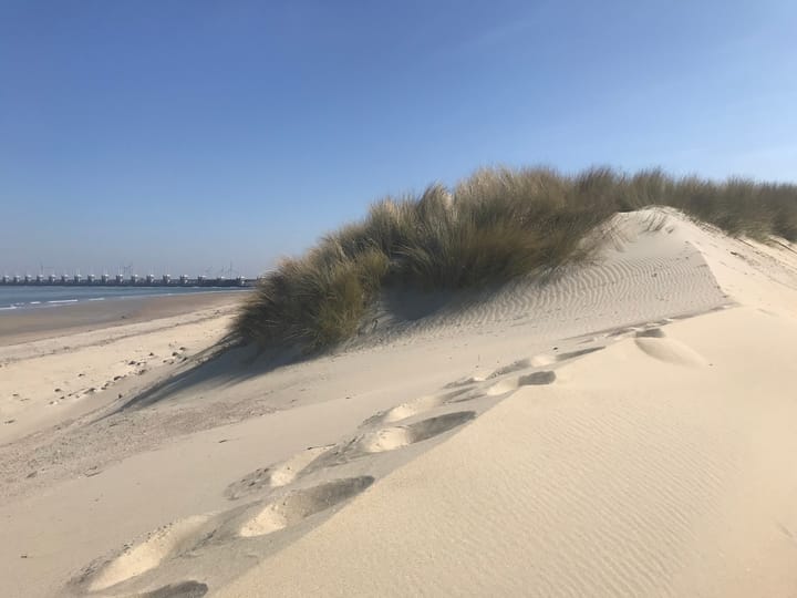 Foto 44 van Cederlaan 4