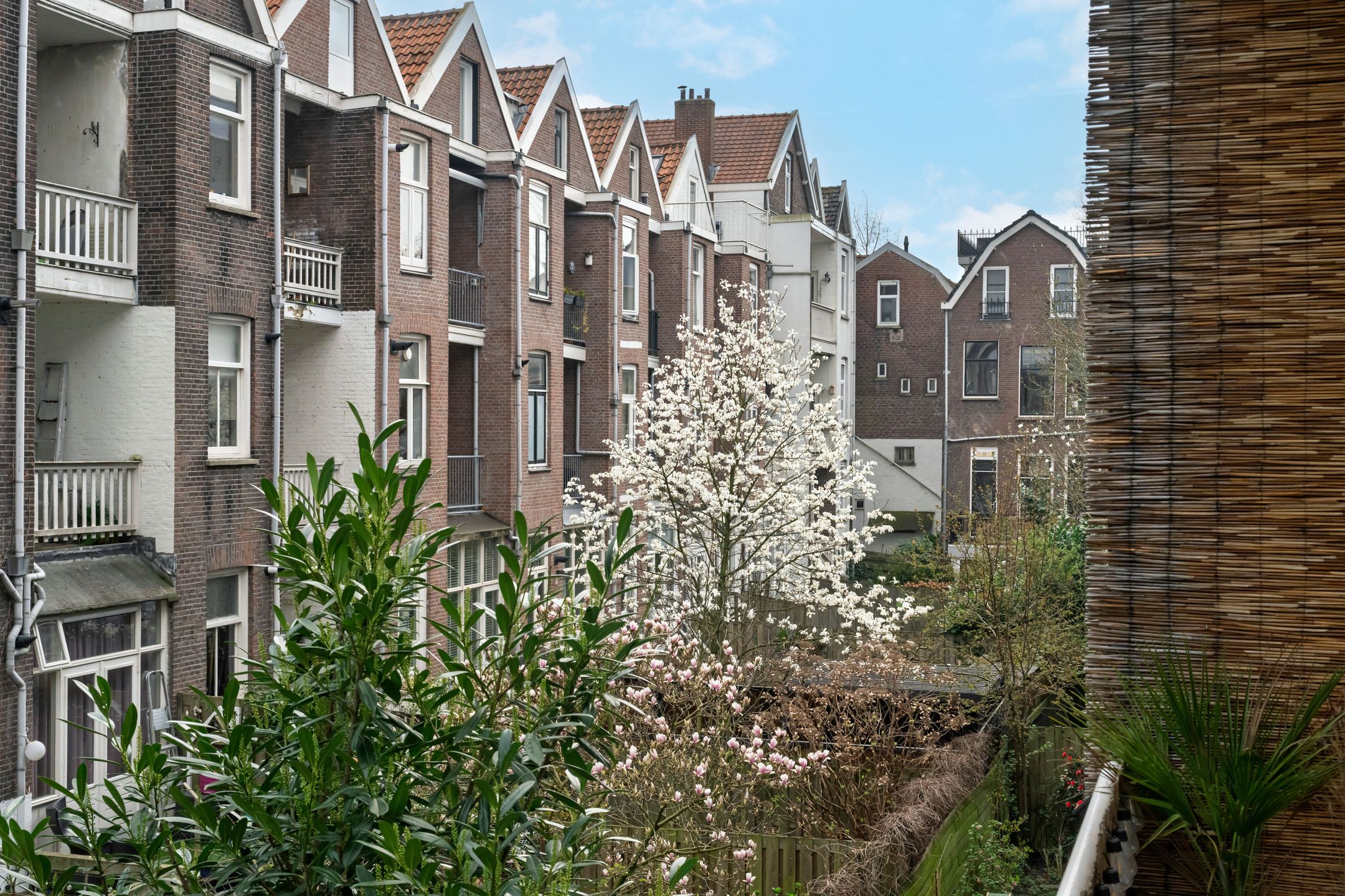 Foto 18 van Palestinastraat 52-A