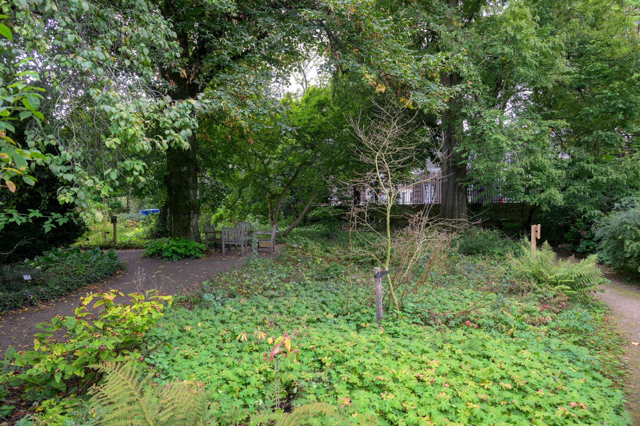 Foto 30 van Palestinastraat 52-A