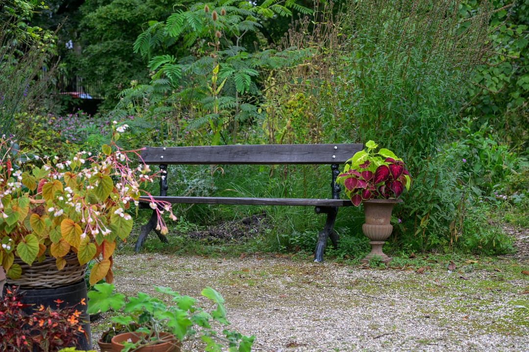 Foto 31 van Palestinastraat 52-A