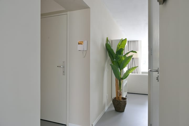 Foto 3 van Palestinastraat 52-A