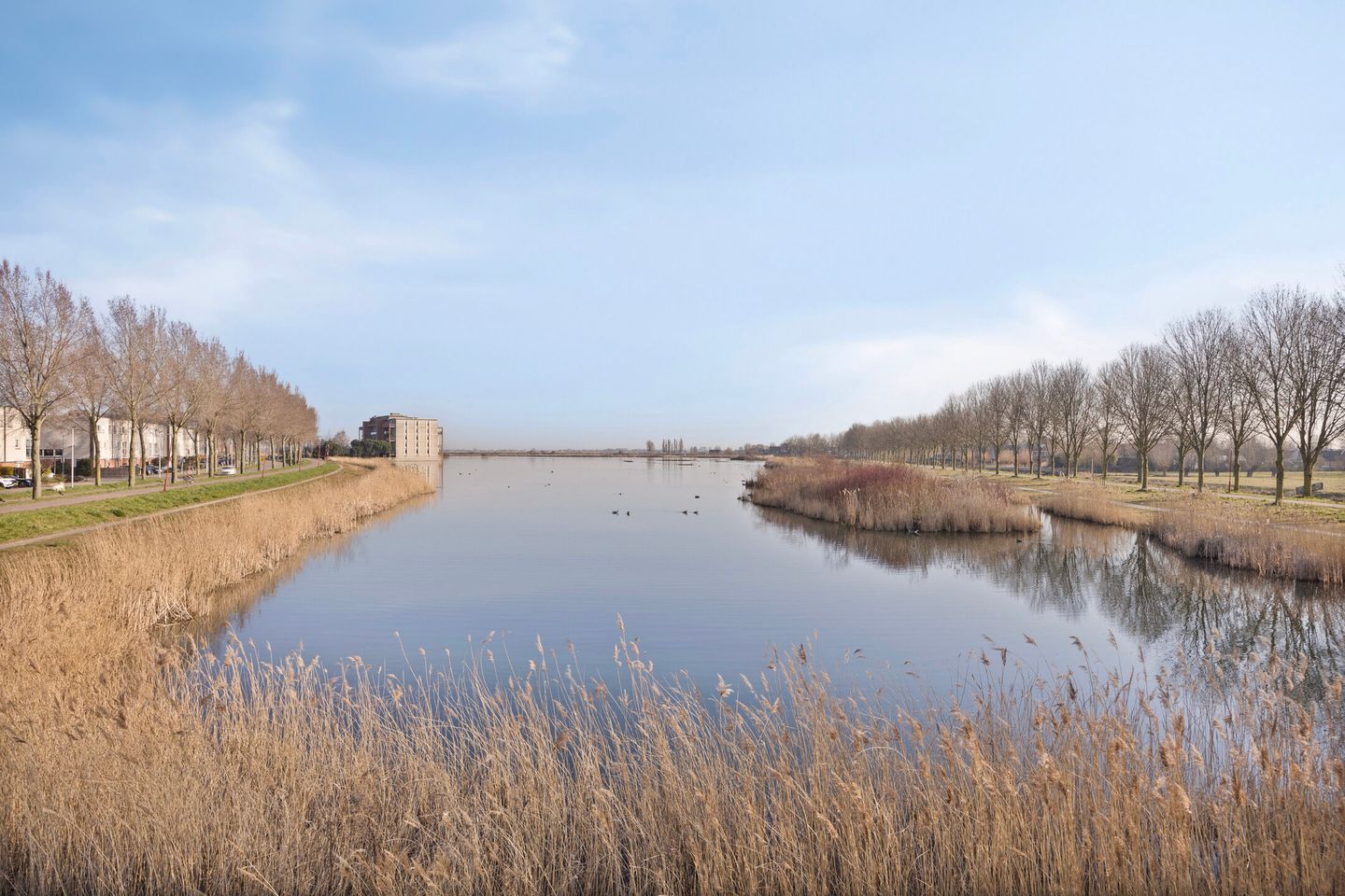 Foto 29 van Ruseschans 20